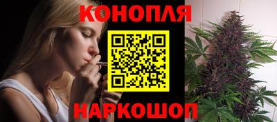 Альфа ПВП Донской