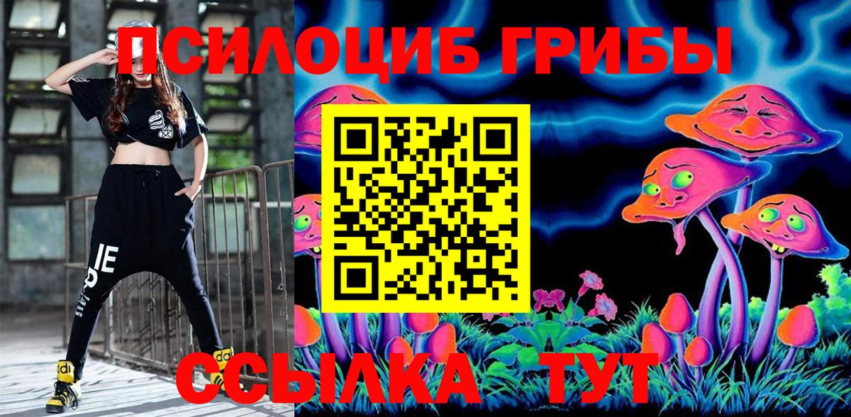 Галлюциногенные грибы мухоморы Кольчугино