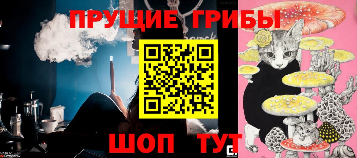 Псилоцибиновые грибы Psilocybe Кольчугино