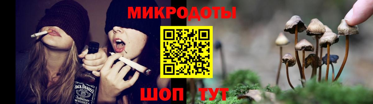 Галлюциногенные грибы Psilocybe  Вход с VPN  Кольчугино  магазин продажи   Галлюциногенные грибы Psilocybe 